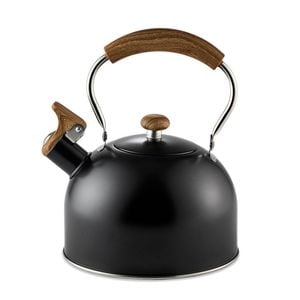 Baccarat Barista Tea House Italico Kettle 2.5l