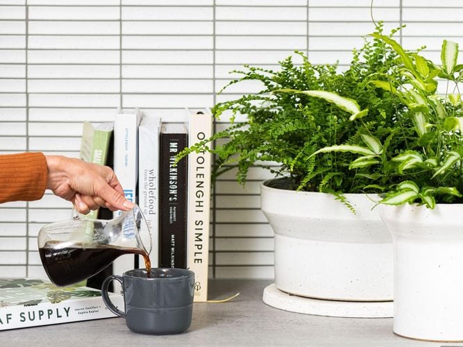 white pots with green plants, person pouring a cup of tea