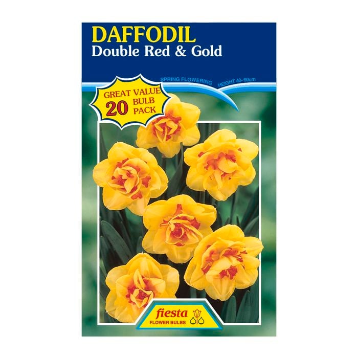 Fiesta Flower Bulbs Daffodil Double Red / Gold - 20 Bulbs