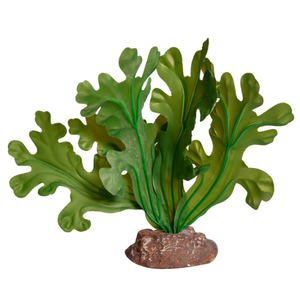 Reptile One Plant Small Fishbone Cactus Green W/ Ceramic Base 18cm (46842)