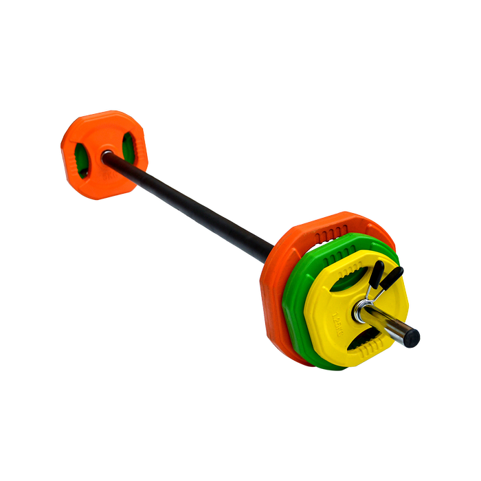 RTM 20kg Standard Rubber Coloured Barbell