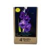 Yarra Valley Bulbs Gladioli Purple Flora 4 Pack