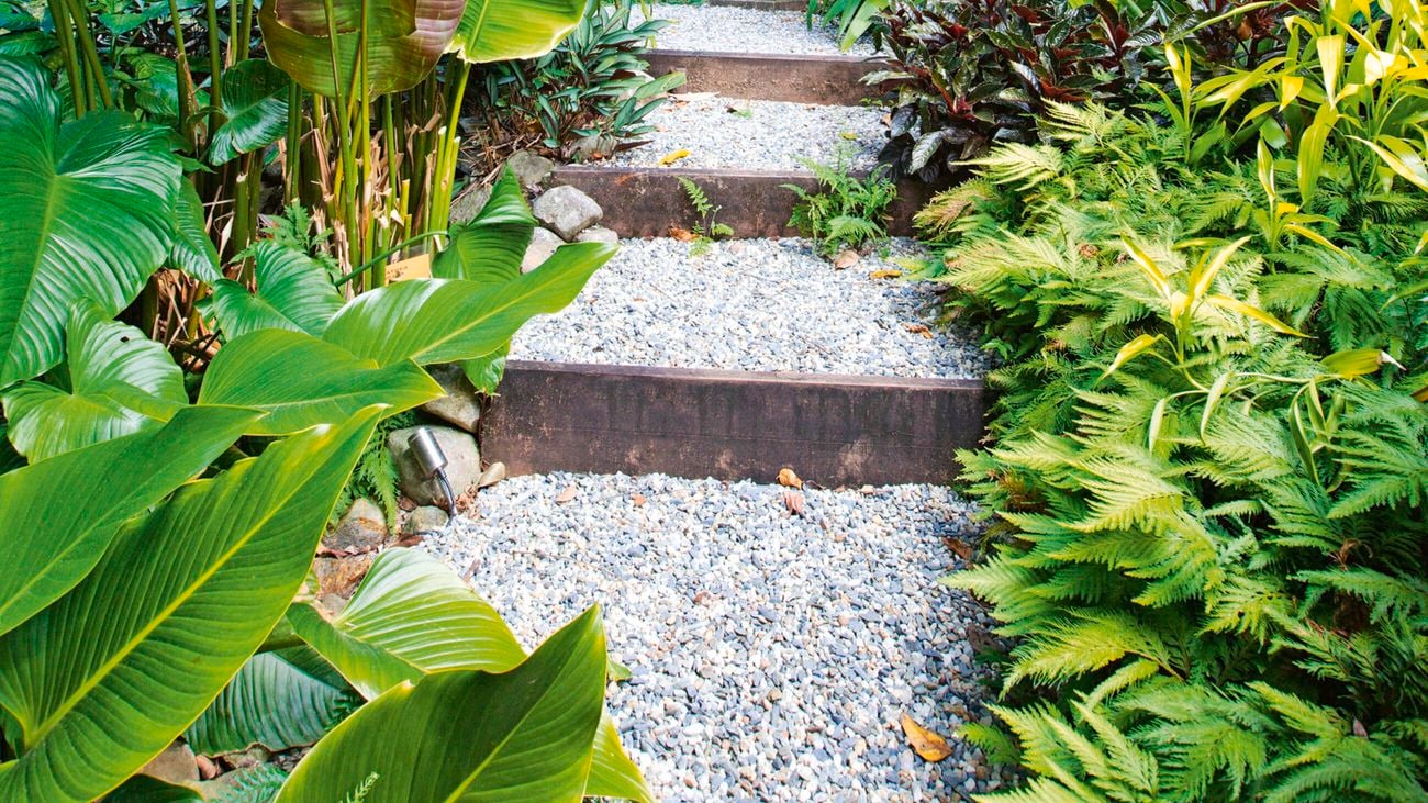 Garden path steps leading to an outdoor bench