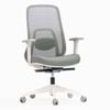 Desky Regal Mesh Office Chair - Sage Green / No Headrest