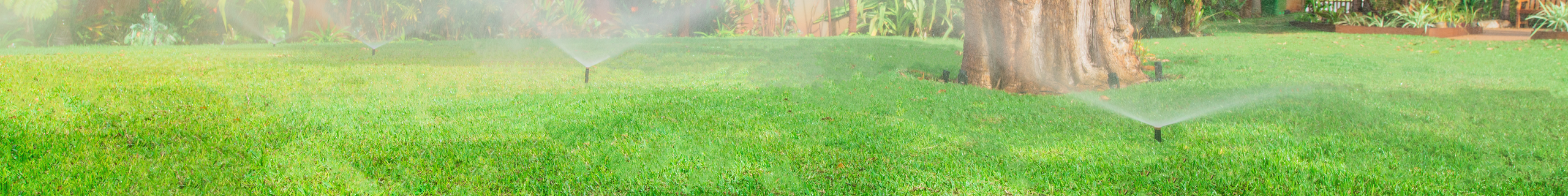 sprinklers on a lawn as header