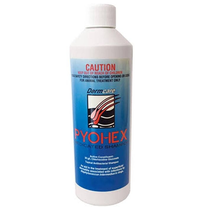 Dermcare Pyohex Medicated Foam Dogs Treatment Shampoo 500ml
