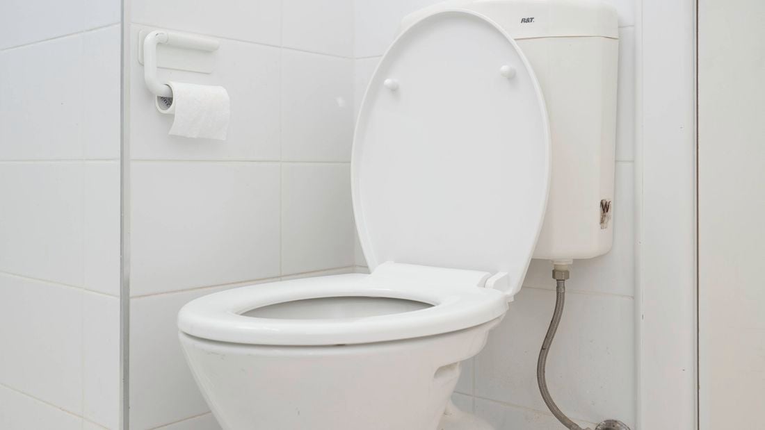 A toilet with a new seat and wall-mounted toilet paper holder. 