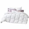 Giselle 500GSM All Season Winter Summer Quilt Doona - Queen