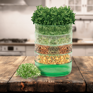 Product.Mr Fothergill's Kitchen Sprouter Seeds.2961441.NZ.productOtherMedia.1