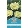 Mr Fothergill's Marigold African Ivory Seeds