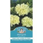 Mr Fothergill's Marigold African Ivory Seeds