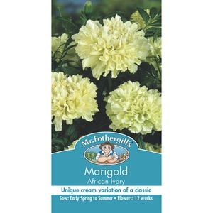 Mr Fothergill's Marigold African Ivory Seeds
