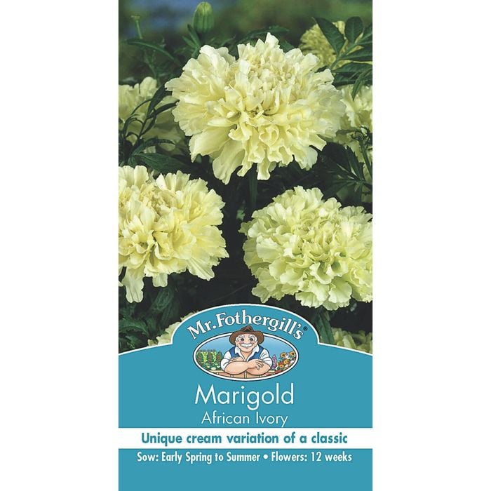Mr Fothergill's Marigold African Ivory Seeds