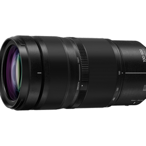 Panasonic LUMIX S 100-500mm f/5-7.1 O.I.S Lens
