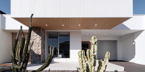 Brushed concrete cladding house exterior with cactus plants in front yard.