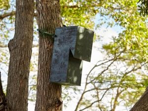 DIY Step Image - How to make a D.I.Y. bird nesting box . Blob storage upload.