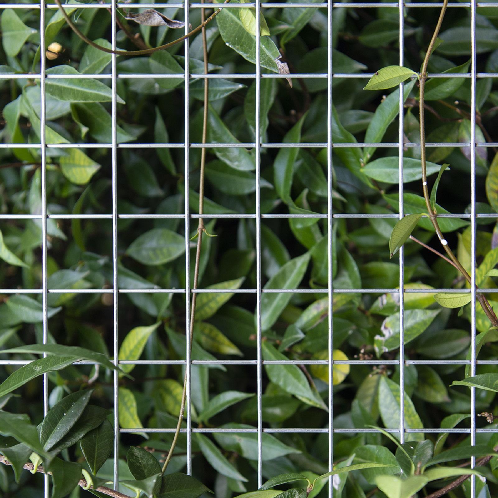 Wire mesh bunnings discount
