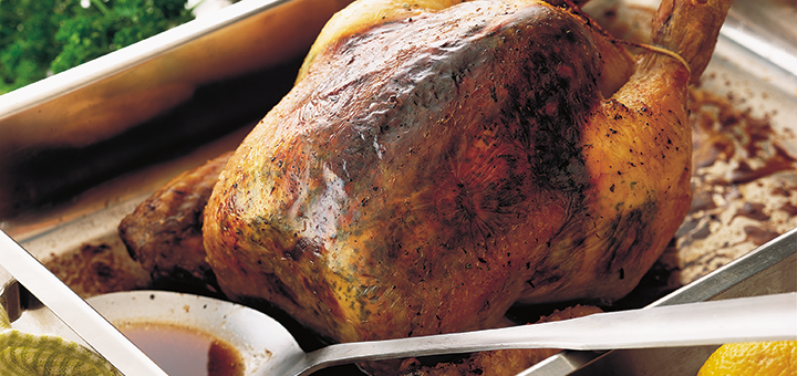matador lemon herb roast chicken
