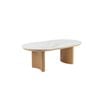Raimon Furniture Bronya Rectangular Matte Ceramic Top Coffee Tea Table Natural/white