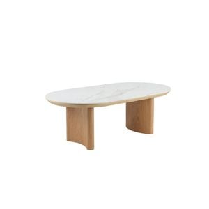 Raimon Furniture Bronya Rectangular Matte Ceramic Top Coffee Tea Table Natural/white