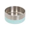 Baxter Bone Large Mint Stainless Steel Double Walled Pet Bowl