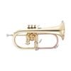 John Packer JP175R Bb Flugel Horn 6 inch bell - Brass Lacquer/ Rose