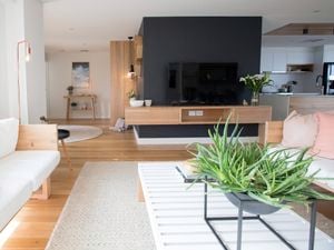 Modern living room area with black feature wall, timber floors and accents and cream couches.