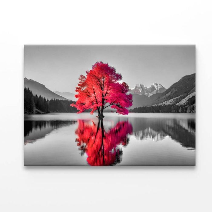 Tree In the Middle of a Lake  Print 100% Australian Made 50 x 40cm  (Acrylic)