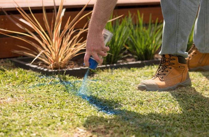 A person in work boots is using blue marking paint to indicate the location of irrigation pipes on a grassy lawn.