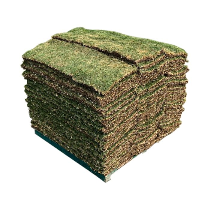 Nullarbor Couch 40m²  Turf - Pallet