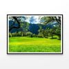 Sommerwiese with Mountains  Print 100% Australian Made 90x60cm  (Poster)