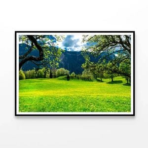 Sommerwiese with Mountains  Print 100% Australian Made 90x60cm  (Poster)
