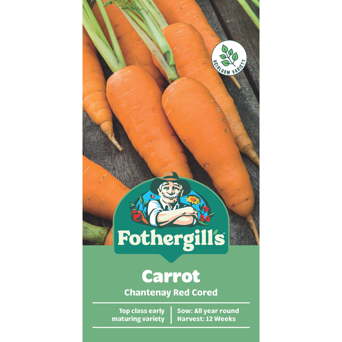 Fothergill's Chantenay Red Carrot Vegetable Seeds