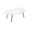 SOGA 80x40 White Coffee Table