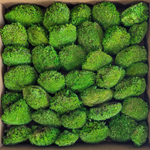 Blooms of Joy 700g Light Green Ball Moss Mini