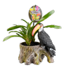 Size F Indoor Novelty Mix 