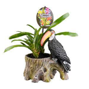 Size F Indoor Novelty Mix 