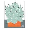 Artist Lane "MexiCan" by Kelly - 76x102cm Stretched Canvas