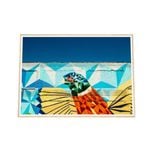 Galrie Vibrant Detroit Wall Art Featuring a Colourful Bird in Fine Art Photography, Wood Frame, 70 x 100cm (28 x 40inch)