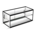 Exquisite Two Tiers Flat Glass Ambient Cake Display