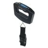 50Kg Portable Digital Electronic Scale 10g Graduation
