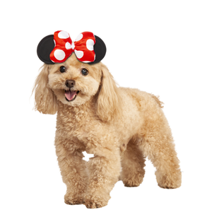 Disney - Minnie Mouse Headband For Dogs - Size Medium-large