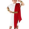 Ancient Teen Boys Roman Toga Costume - Xlarge
