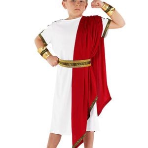 Ancient Teen Boys Roman Toga Costume - Xlarge