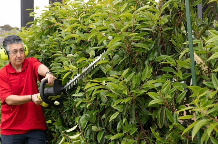Start hedge trimming with an electric trimmer