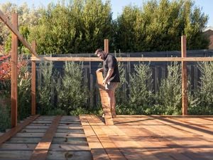 A carpenter in a black t-shirt and light-coloured shorts stands on a half-finished outdoor deck examining decking material - timber.