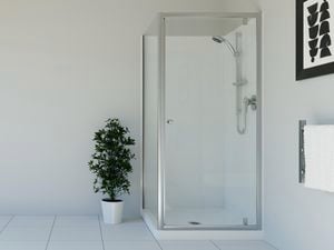 Shower in a bathroom with white tiles and a white wall and a plant in a pot.