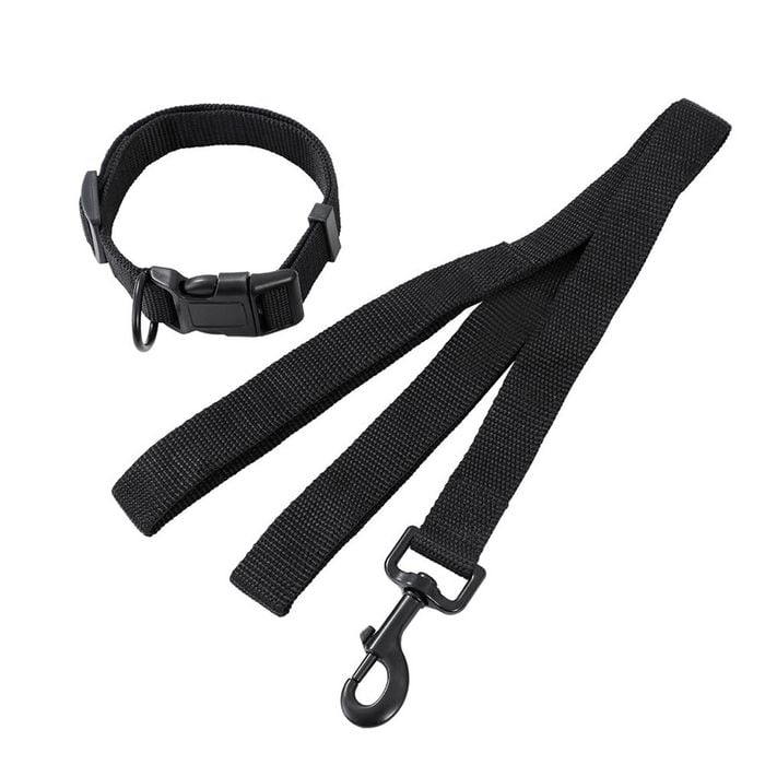 2pc Paws & Claws Essentials Dog Collar & Lead Set Assorted
