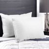 Giselle Goose Feather Pillow x2