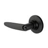 Sylvan Black Dalton Entrance Lever Set